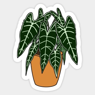 Alocasia Polly Illustration | Plant in a pot Sticker